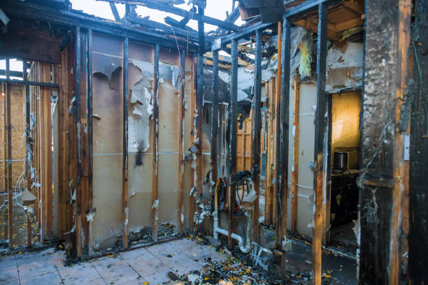 Professional Fire Damage Removal technician working in Olympia, WA